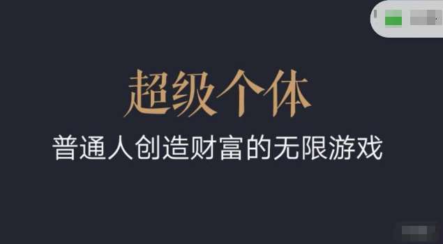 超级个体2024-2025翻盘指南，普通人创造财富的无限游戏-赛德副业库