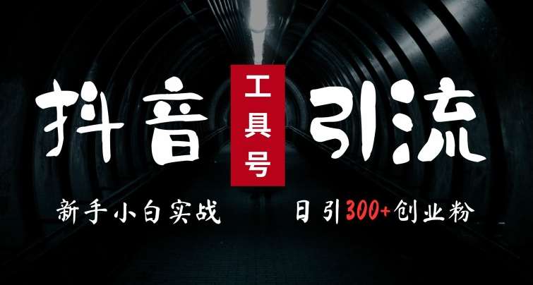 2024最新抖音工具号引流玩法，高效日引300+创业粉，当天变现5k，小白也可成为实战高手-赛德副业库