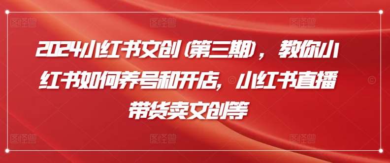 2024小红书文创(第三期)，教你小红书如何养号和开店，小红书直播带货卖文创等-赛德副业库
