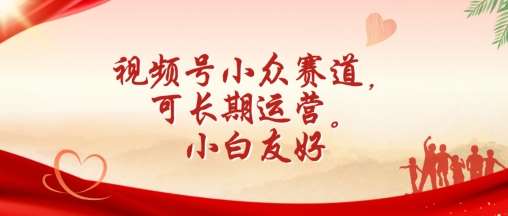 视频号小众赛道，可长期运营，小白友好【揭秘】-赛德副业库
