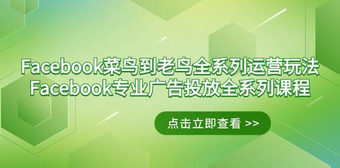 （9064期）Facebook-菜鸟到老鸟全系列运营玩法+Facebook-专业广告投放全系列课程-赛德副业库