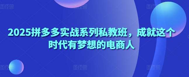 2025拼多多实战系列私教班，成就这个时代有梦想的电商人-赛德副业库