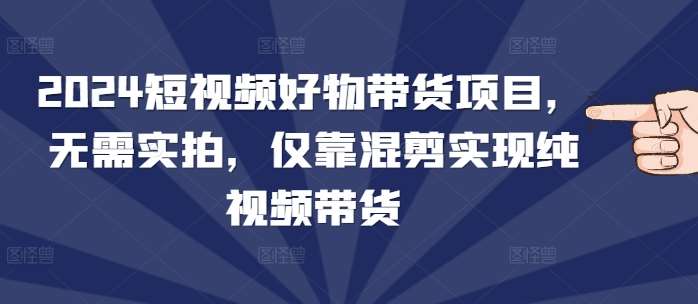 2024短视频好物带货项目，无需实拍，仅靠混剪实现纯视频带货-赛德副业库