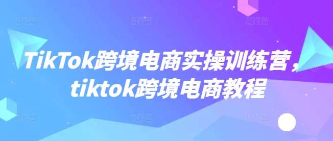 TikTok跨境电商实操训练营，tiktok跨境电商教程-赛德副业库