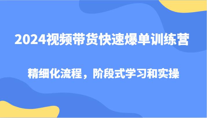 2024视频带货快速爆单训练营，精细化流程，阶段式学习和实操-赛德副业库