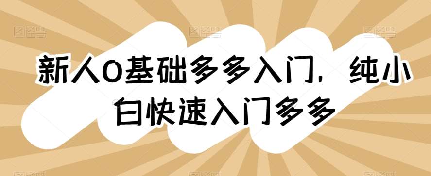 新人0基础多多入门，​纯小白快速入门多多-赛德副业库