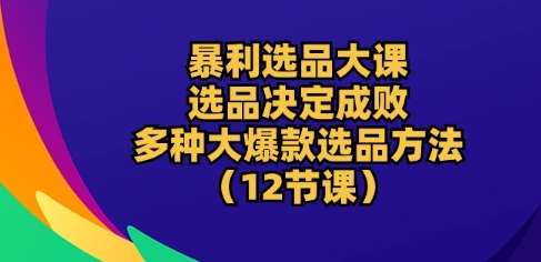 暴利选品大课：选品决定成败，教你多种大爆款选品方法(12节课)-赛德副业库