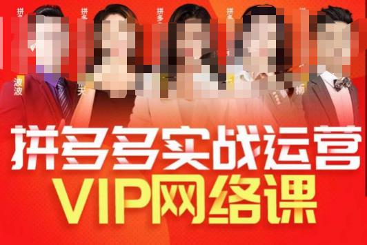 推易拼多多VIP全套直播课程，拼多多店铺实操玩法+实战玩法选款内功+直通车高阶等-赛德副业库