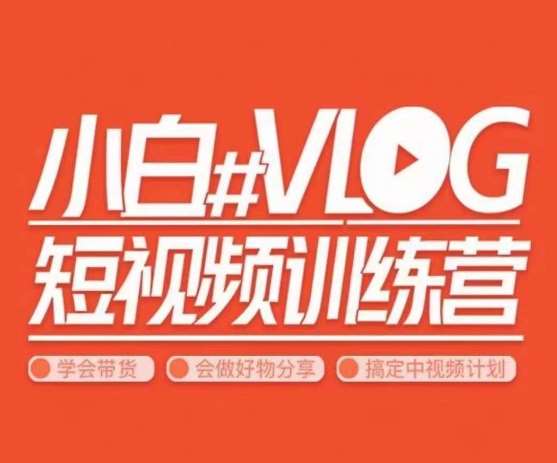 小呆说视–小白VLOG短视频训练营，学会带货、好物、直播、中视频-赛德副业库
