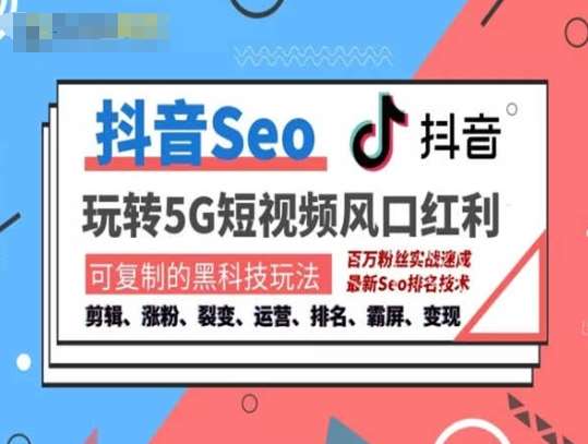 抖音SEO引流培训课程-抓住抖音风口，实现搜索排名，获取精准流量，快速成交变现-赛德副业库