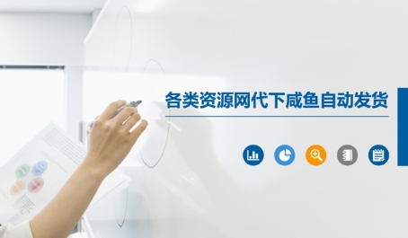 各类资源网代下咸鱼自动发货-赛德副业库
