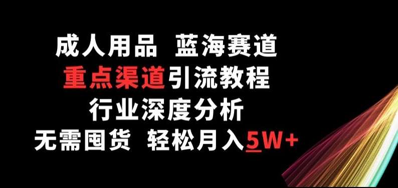 成人用品，蓝海赛道，重点渠道引流教程，行业深度分析，无需囤货，轻松月入5W+【揭秘】-赛德副业库