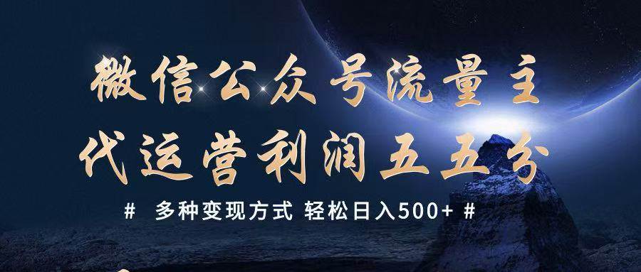 公众号流量主代运营  多种变现方式 轻松日入500+-赛德副业库