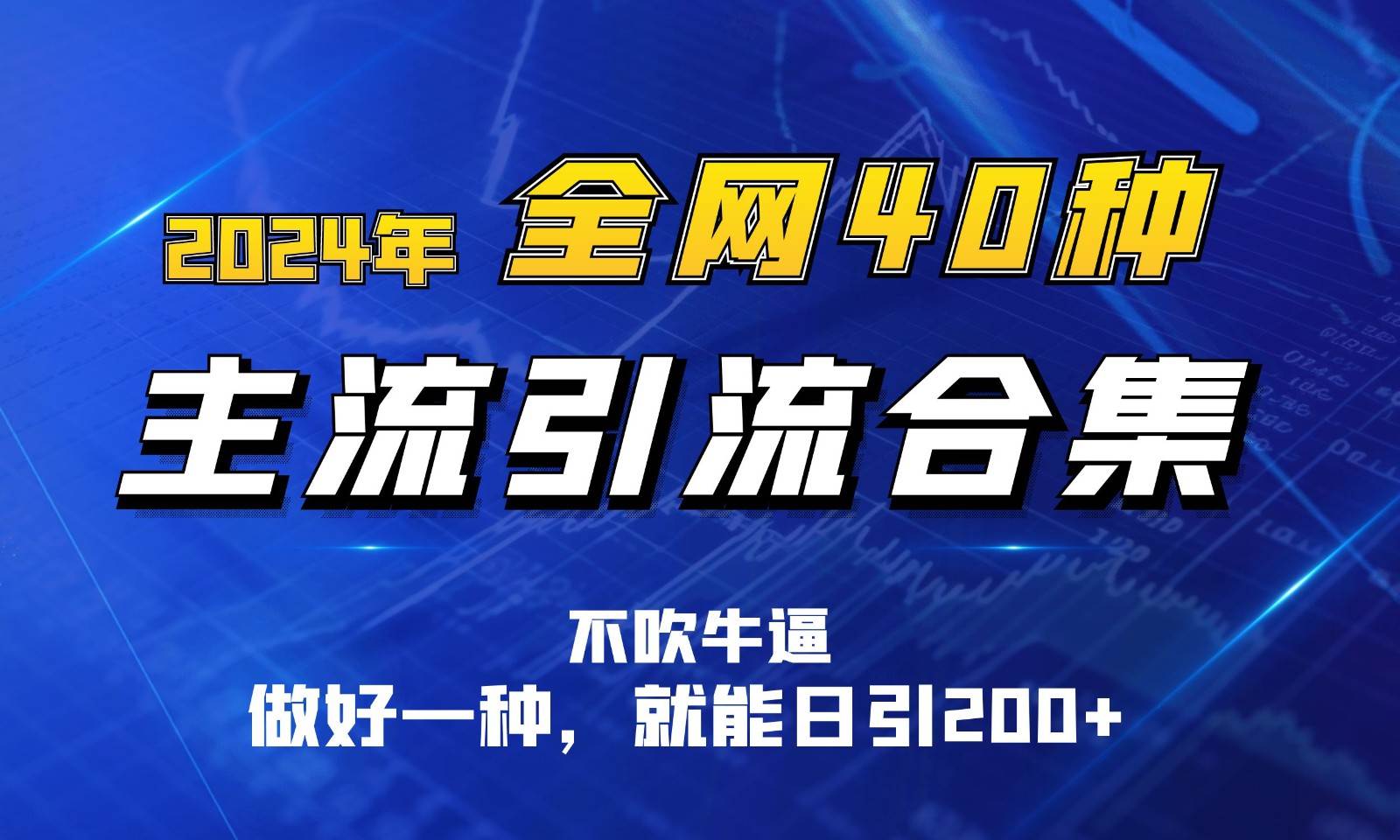 2024年全网40种暴力引流合计，做好一样就能日引100+-赛德副业库