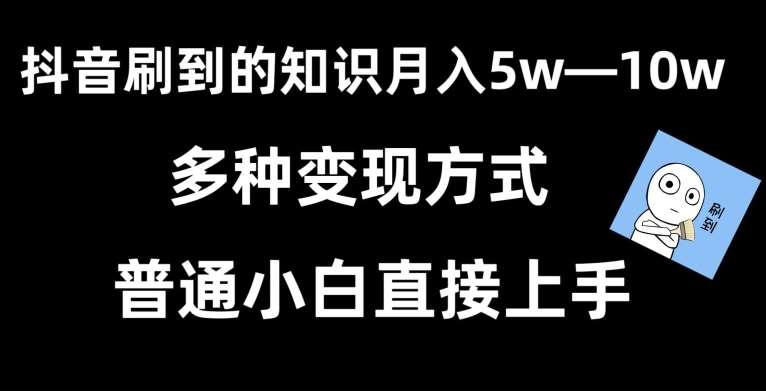 抖音刷到的知识，每天只需2小时，日入2000+，暴力变现，普通小白直接上手【揭秘】-赛德副业库
