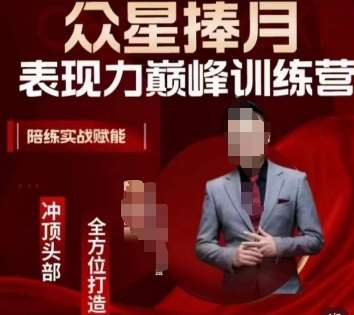众星捧月表现力巅峰训练营，全方位打造，陪练实战赋能-赛德副业库