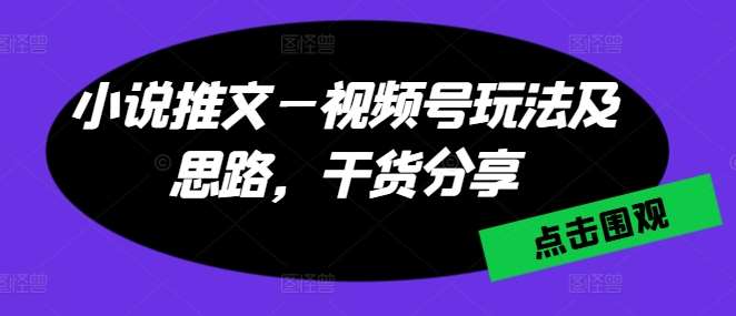 小说推文—视频号玩法及思路，干货分享-赛德副业库