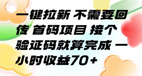 一键拉新 不需要回传 首码项目 接个验证码就算完成 一小时收益70+【揭秘】-赛德副业库