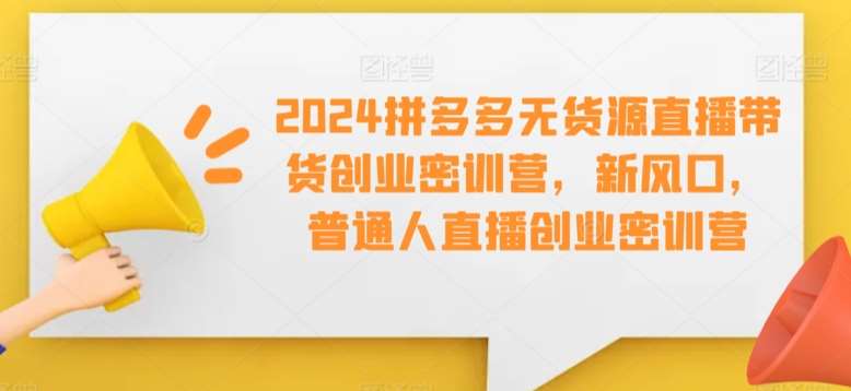 2024拼多多无货源直播带货创业密训营，新风口，普通人直播创业密训营-赛德副业库