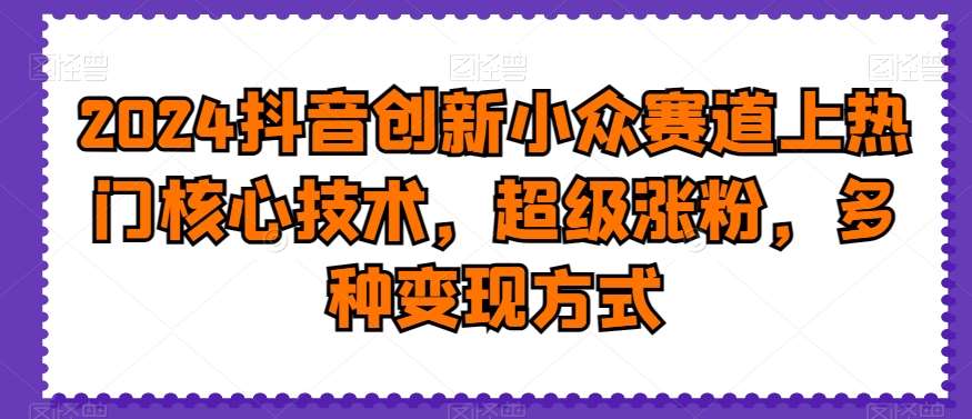 2024抖音创新小众赛道上热门核心技术，超级涨粉，多种变现方式【揭秘】-赛德副业库