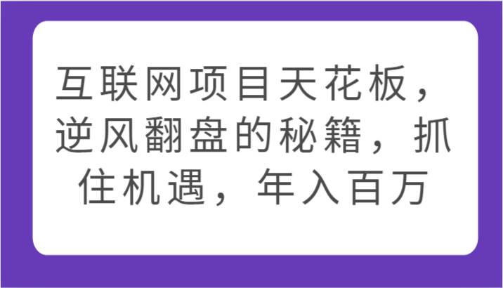 互联网项目天花板，逆风翻盘的秘籍，抓住机遇，年入百万-赛德副业库
