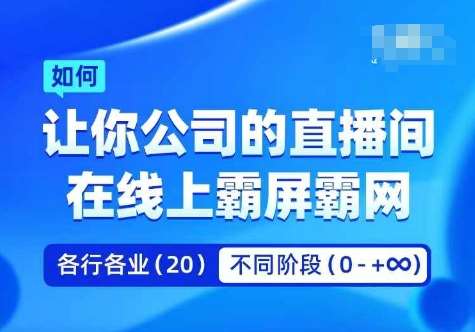 企业矩阵直播霸屏实操课，让你公司的直播间在线上霸屏霸网-赛德副业库