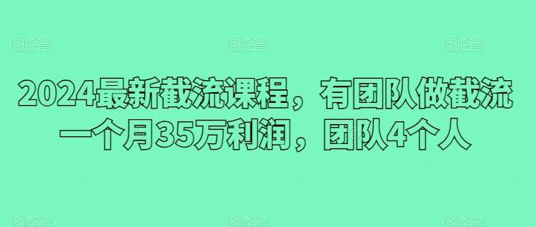 2024最新截流课程，有团队做截流一个月35万利润，团队4个人-赛德副业库