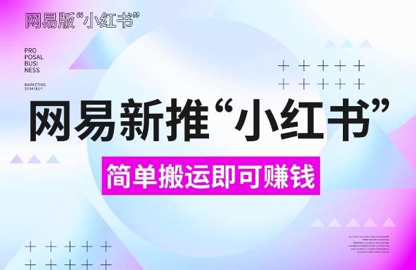 网易官方新推“小红书”,搬运即有收益,新手小白千万别错过(附详细教程)【揭秘】-赛德副业库