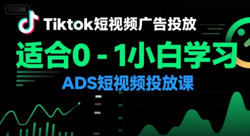 Tiktok短视频广告投放，适合0-1小白学习ADS短视频投放课-赛德副业库