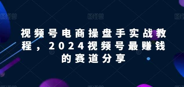 视频号电商实战教程,2024视频号最赚钱的赛道分享-赛德副业库