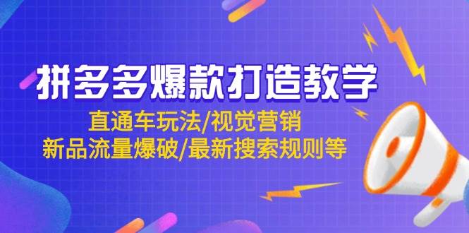 （14681期）拼多多爆款打造教学：直通车玩法/视觉营销/新品流量爆破/最新搜索规则等-赛德副业库