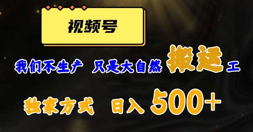 视频号轻松搬运日赚500+，一个1分钟1条原创视频【揭秘】-赛德副业库