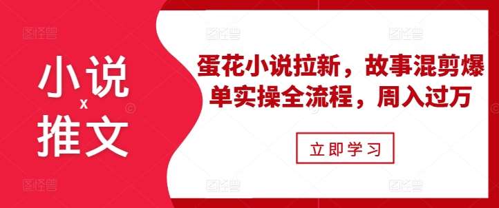 小说推文之蛋花小说拉新，故事混剪爆单实操全流程，周入过万-赛德副业库