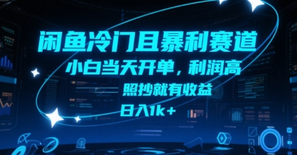 闲鱼冷门且暴利赛道，小白当天开单，利润高，照抄就有收益，日入1k+【揭秘】-赛德副业库