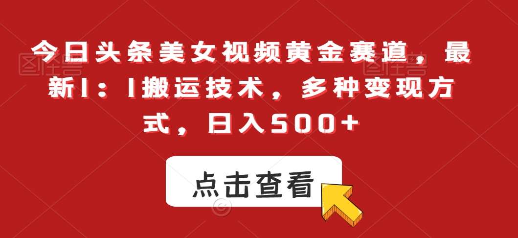 今日头条美女视频黄金赛道，最新1：1搬运技术，多种变现方式，日入500+【揭秘】-赛德副业库