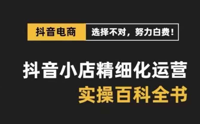 抖音小店精细化运营百科全书，保姆级运营实操讲解-赛德副业库