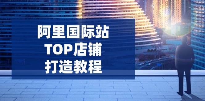 (14269期)阿里国际站TOP店铺打造教程:涵盖平台到高阶,解决运营难题,提升询盘-赛德副业库
