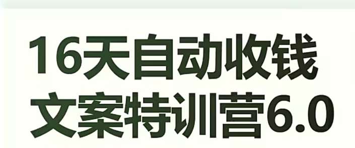 16天自动收钱文案特训营6.0，学会儿每天自动咔咔收钱-赛德副业库