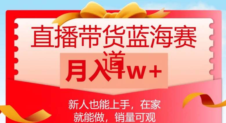 直播带货蓝海赛道，新人也能上手，在家就能做，销量可观，月入1w【揭秘】-赛德副业库