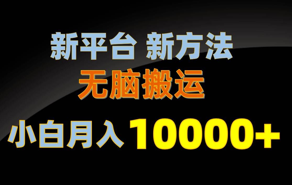 （10605期）新平台新方法，无脑搬运，月赚10000+，小白轻松上手不动脑-赛德副业库