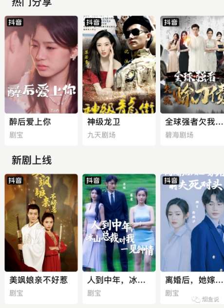 图片[2]-网剧推广计划丨真一键搬运丨矩阵操作丨零粉变现月入过W-赛德副业库