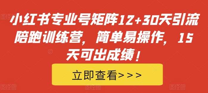 小红书专业号矩阵12+30天引流陪跑训练营,简单易操作,15天可出成绩!-赛德副业库