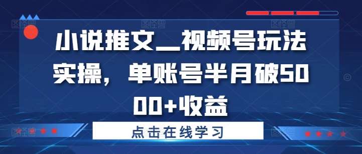小说推文—视频号玩法实操，单账号半月破5000+收益-赛德副业库