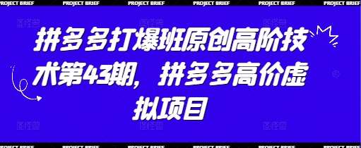 拼多多打爆班原创高阶技术第43期,拼多多高价虚拟项目-赛德副业库