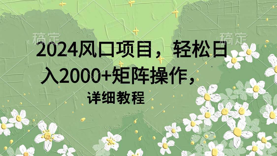 （9652期）2024风口项目，轻松日入2000+矩阵操作，详细教程-赛德副业库
