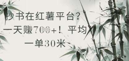 抄书在小红薯平台?平均一单30米,一天收益几张!-赛德副业库