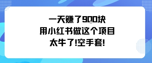 一天挣了9张用小红书做这个项目太牛了，空手套-赛德副业库