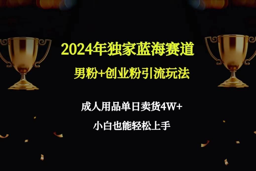 （9112期）2024年独家蓝海赛道男粉+创业粉引流玩法，成人用品单日卖货4W+保姆教程-赛德副业库