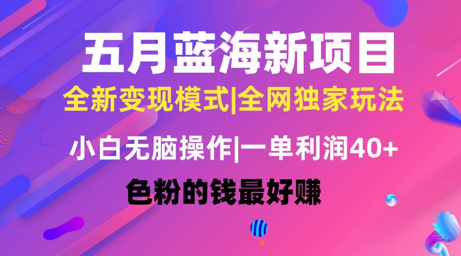 （10477期）五月蓝海项目全新玩法，小白无脑操作，一天几分钟，矩阵操作，月入4万+-赛德副业库