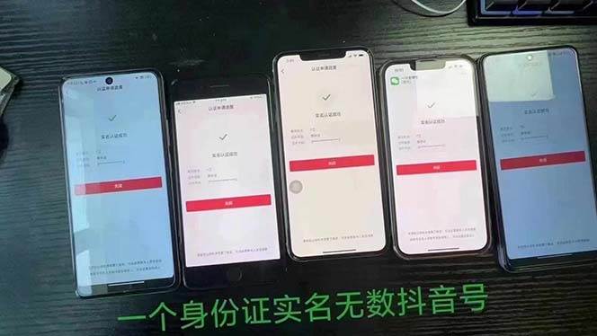 图片[2]-抖音无限实名技术：一个SFZ号码可以十名无数个抖音账号，具体自己实操-赛德副业库